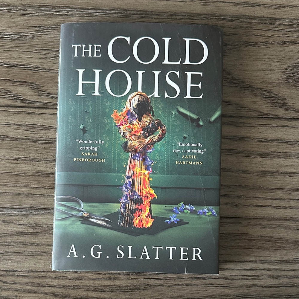 Mystery horror book